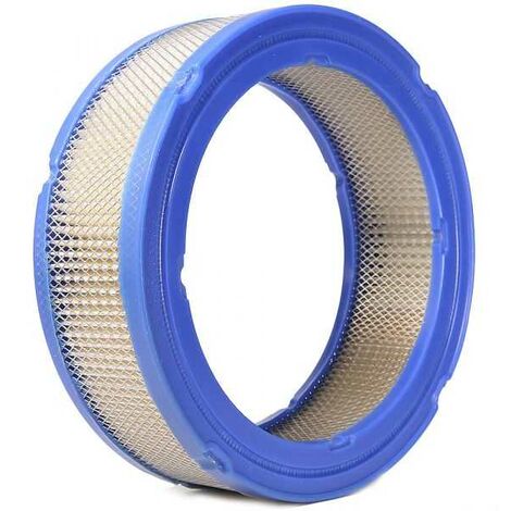 Filtre à air pour Briggs & Stratton 392642, 394018 V-TWIN OHV VANGUARD (1/5)