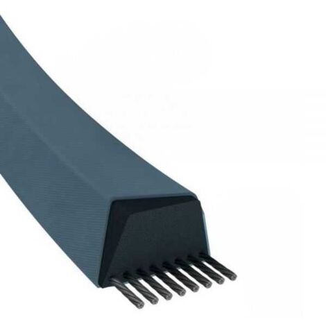 Courroie tondeuse A48,5 trapézoïdale 13 x 1290 mm (1/5)