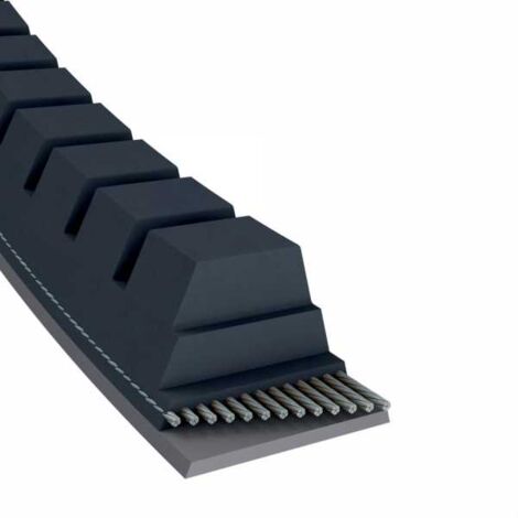 Courroie tondeuse AX43,5 trapézoïdale 13 x 1155 mm (1/5)