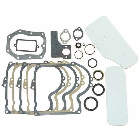 Kit De Joints De Révision Moteur Pour Briggs & Stratton 495993 287707 287777 Accessoires Moto