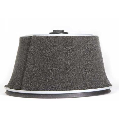Filtre à air pour moteur Honda 172A-188-3902 (1/5)