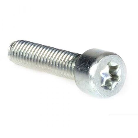 Vis Torx 27 M6 x 25 pour tronçonneuse Stihl MS251 (1/4)