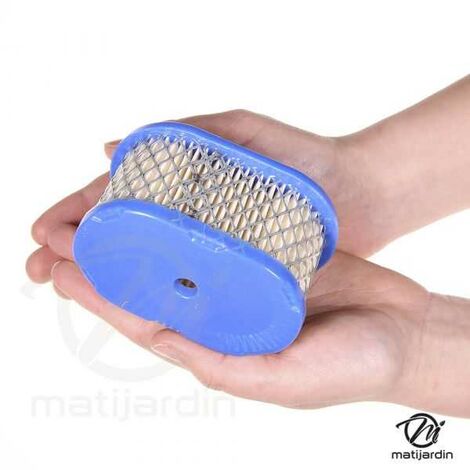 Filtre à Huile Modèle Long BRIGGS ET STRATTON 004153 - 4153 - 491056 - 491056s - 492932 - 805255 - 807894