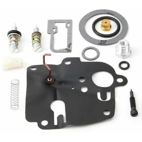 Kit réparation carburateur pour moteur Briggs & Stratton. N° origine 494623 (1/2)