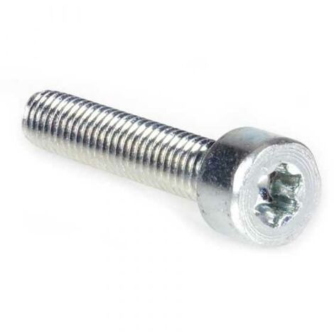 Vis Torx 27 M6 x 30 pour tronçonneuse Stihl MS261 (1/4)