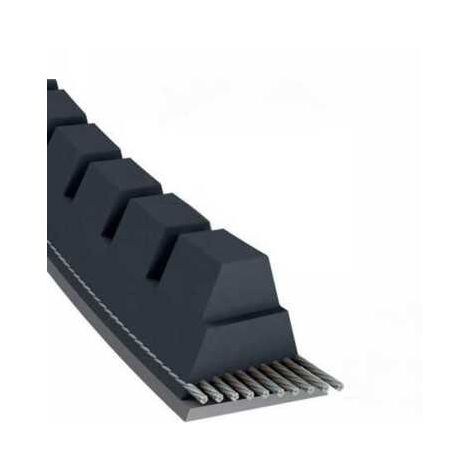 Courroie tondeuse XPZ900 trapézoïdale crantée 9,7 x 912 mm (1/5)