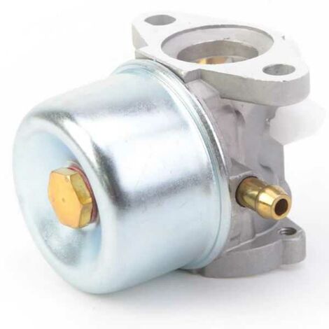 Carburateur pour moteur Briggs & Stratton 790120 (1/5)