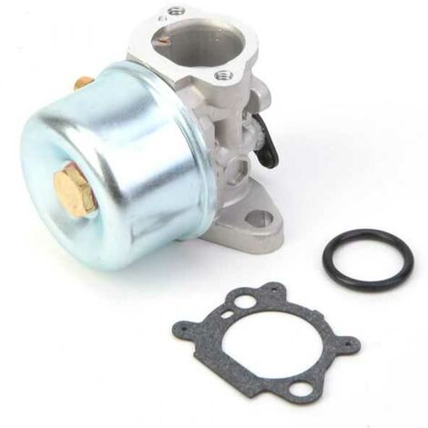Carburateur pour moteur Briggs & Stratton 799866 (1/5)