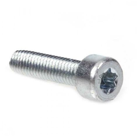 Vis Torx 27 M5 x 20 pour tronçonneuse Stihl MS270 MS280 (1/4)