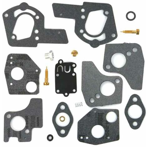 Kit réparation carburateur pour moteur Briggs & Stratton 494624, 495606 (1/2)