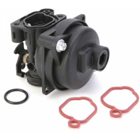 Carburateur pour moteur Briggs & Stratton 799583 (1/5)