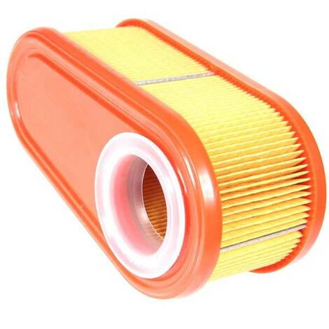 Filtre à air pour Briggs & Stratton 795066 (1/5)