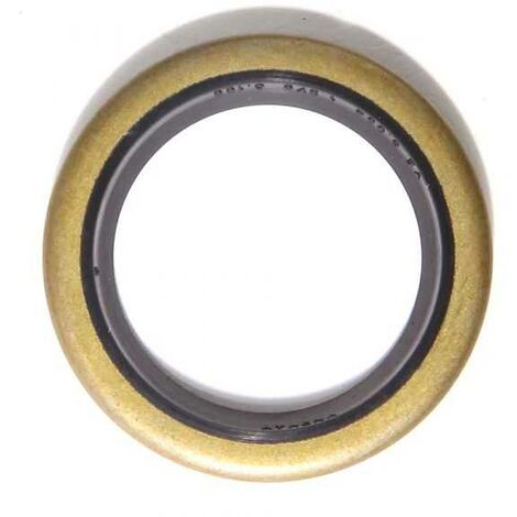 Joint spi pour moteur Briggs & Stratton N°294606