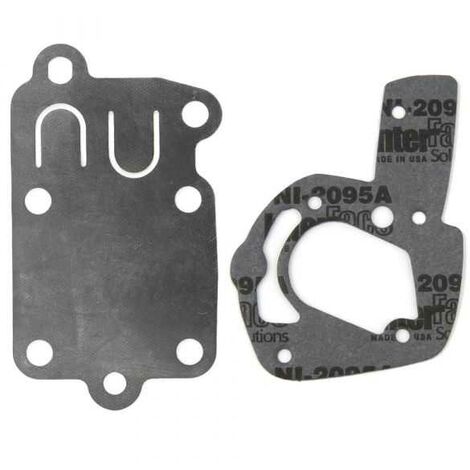 Joint + membrane pour moteur Briggs & Stratton (1/3)