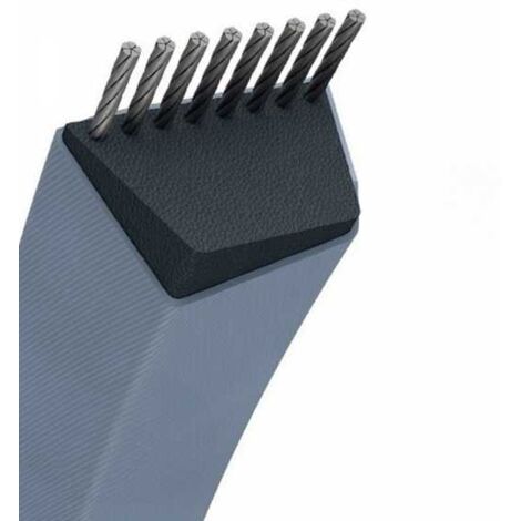 Courroie tondeuse B54 trapézoïdale  17 x 1438 mm (1/5)