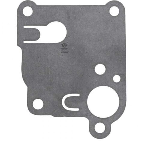 Membrane carburateur en kit pour Briggs & Stratton 270253 (1/2)