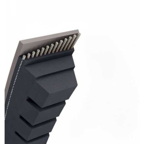 Courroie tondeuse AX48 trapézoïdale crantée  13 x 1269 mm (1/5)