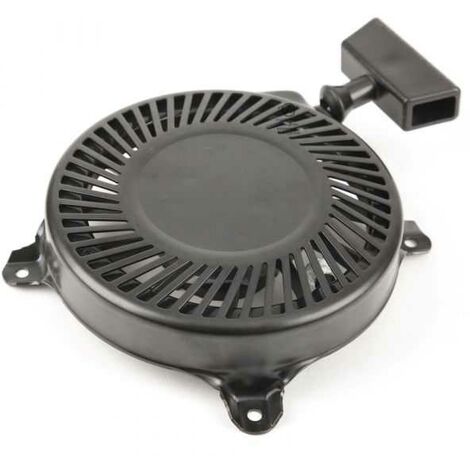 Lanceur pour moteur Briggs & Stratton série 13 (1/5)