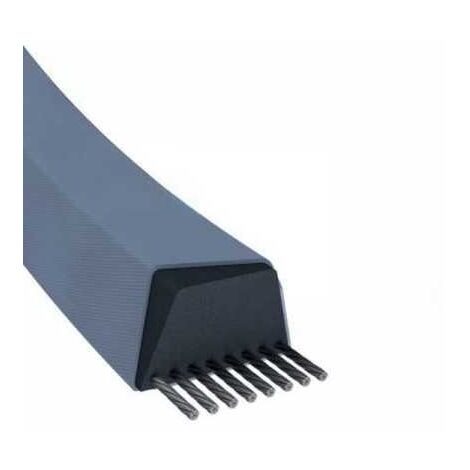 Courroie tondeuse Z30,5 trapézoïdale 10 x 813 mm (1/5)