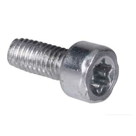 Vis Torx 27 pour Stihl. x10. Type M4 x 10 (1/4)