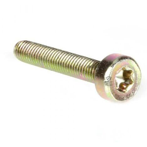 Vis Torx 27 M5 x 30 pour tronçonneuse Stihl 034 MS340. Par 10 (1/4)