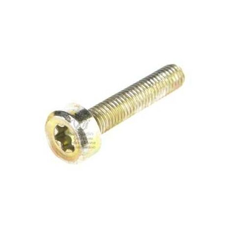 Vis Torx 27 M5 x 25 pour découpeuse Stihl TS410 TS420 (1/2)