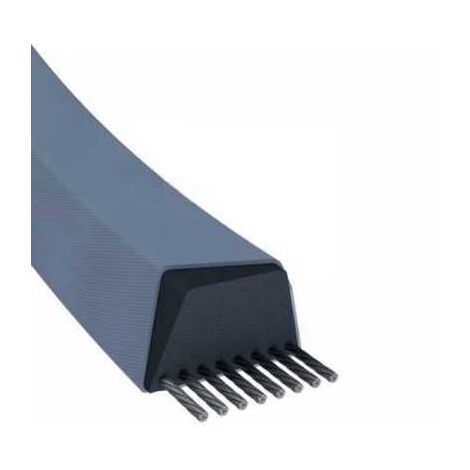 Courroie tondeuse Z24 trapézoïdale 10 x 648 mm (1/5)