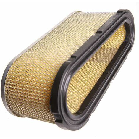 Filtre à air pour Briggs & Stratton 493909, 496894 (1/5)