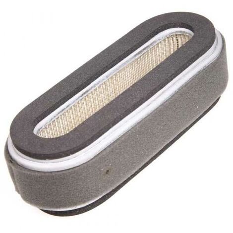 Filtre à air pour moteur Kubota 12101-1121-0 (1/5)