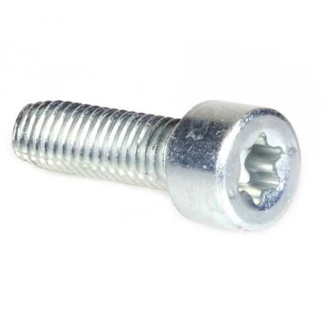 Vis Torx 27 M6 x 20 pour tronçonneuse Stihl MS171 MS181 MS211 (1/4)