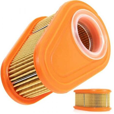 Filtre à air pour Briggs & Stratton 792038