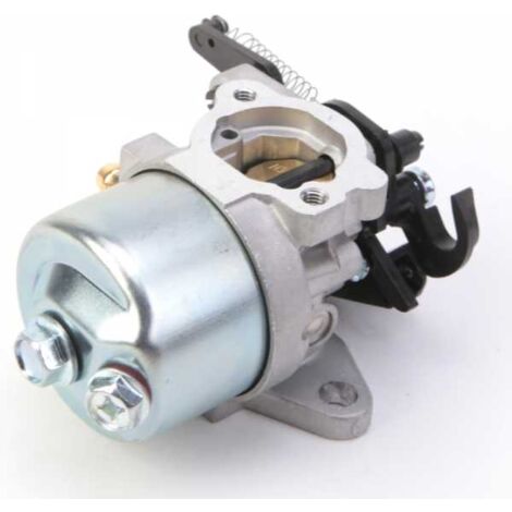 Carburateur pour moteur Briggs & Stratton 591852 (1/5)