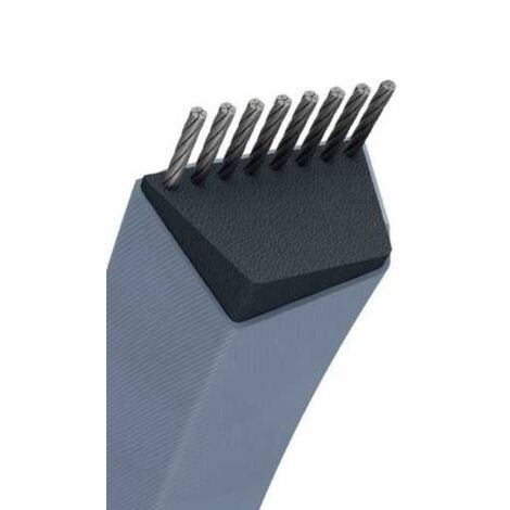 Courroie tondeuse A96 trapézoïdale  13 x 2488 mm (1/5)