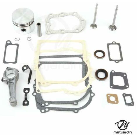 Kit De Joints BRIGGS ET STRATTON 793623
