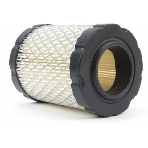 Filtre à air moteur Briggs et Stratton n° 796032 (1/4)