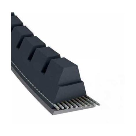 Courroie tondeuse XPA800 trapézoïdale crantée  12,7 x 817 mm (1/5)