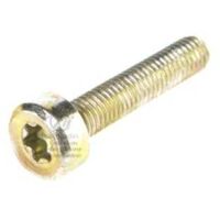 Vis Torx 27 M5 x 25 pour tronçonneuse Stihl 024 MS240
