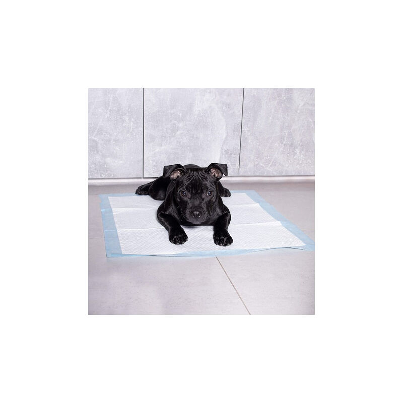 Podkład higiénico para perros, 10 unidades. Alfombrillas absorbentes de  60x90 cm para el aprendizaje de la limpieza.