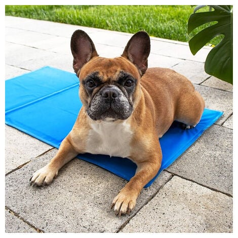 COLCHONETA ANTIACAROS para Perros y Gatos