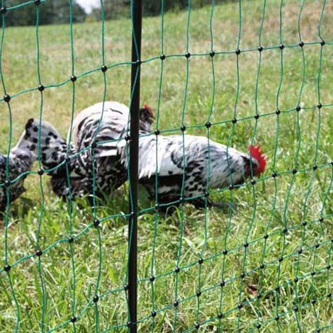 Recinto per pollaio in legno CHABO, 6 galline, rete per galline, estensione