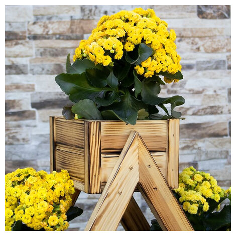 Blumenkasten aus Holz für den Balkon mit Sonneneinstrahlung