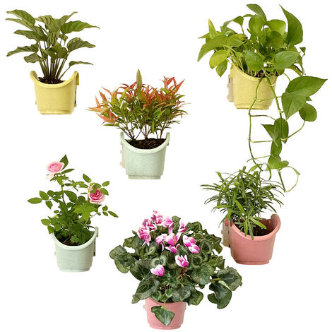 RHAFAYRE 2 Pièces Plantes Suspendues en Plastique, Plantes