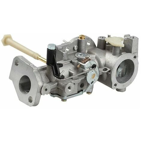 Carburetor with Gasket for Briggs & Stratton 498298 692784 495951 492611  490533 495426