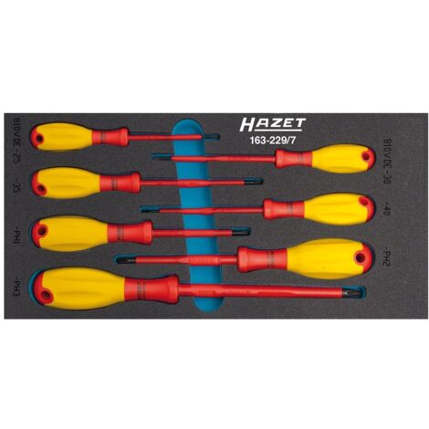 Hazet Werkzeugmodul 163-229/7 7-tlg.Anz.Werkzeuge:7 - 163-229/7 (1/5)