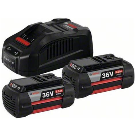 Bosch Zubehör - Set 8A Ladegerät und 2x Akku 36 V Li-Ion 6,0 Ah 1600A00L1U