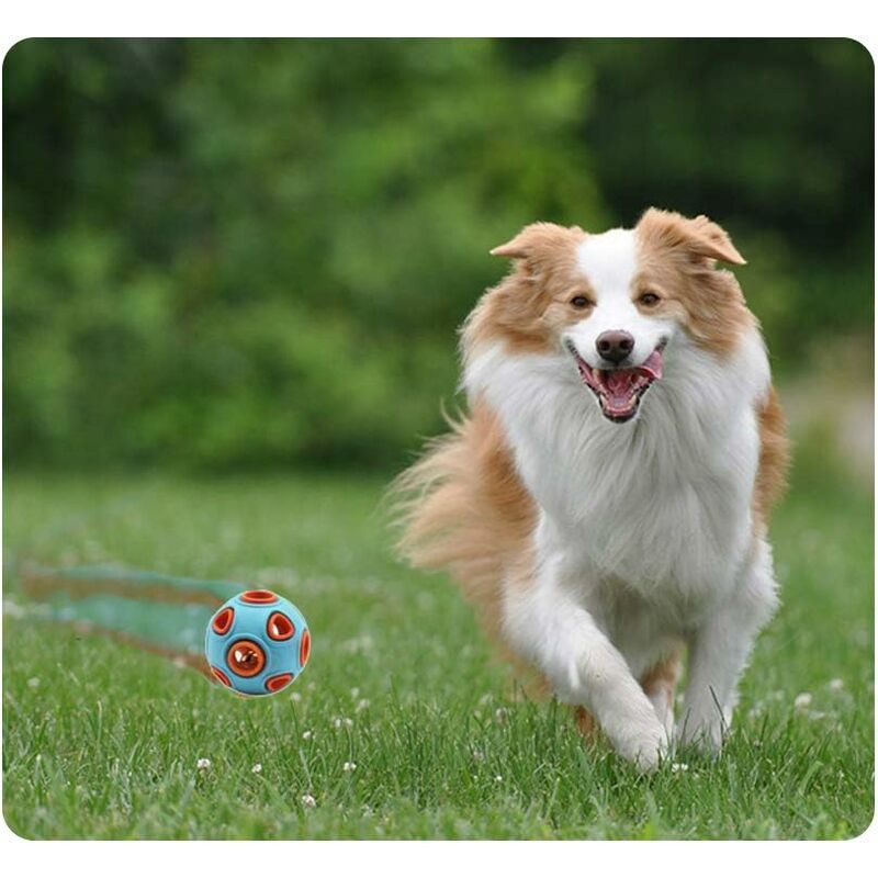 Soccer Ball for Dogs - 6 INCH Herding Balls for Dogs with Bells - Medium