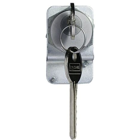 Bticino Cofrel   003748   CANON PTT T25