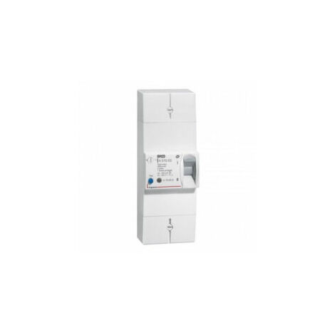Disjoncteur de branchement - bipolaire - 60A - 401052 - Legrand