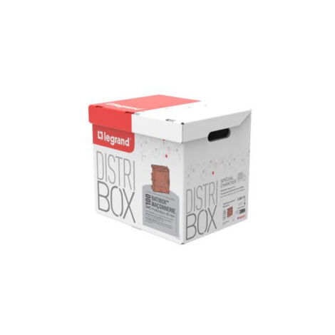 Legrand – Distributeur de 100 boîtes Batibox 1 poste 80117L – Profondeur 40mm – Pour maçonnerie – Fixation par vis – Résistance aux chocs IK04
