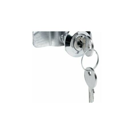 Fermeture à Clé 405 pour porte de coffrets Vega D - FD00S4 - Hager